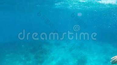 年轻人在清澈的蓝水中潜水。 鼾声如雷的家伙高清水下走慢运动。 安达曼，泰国。